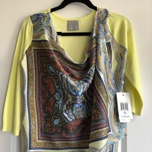 Evolution Citron sweater